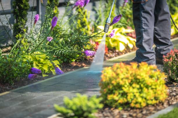 Professional Pressure Washing Services in Orchard Homes, MT